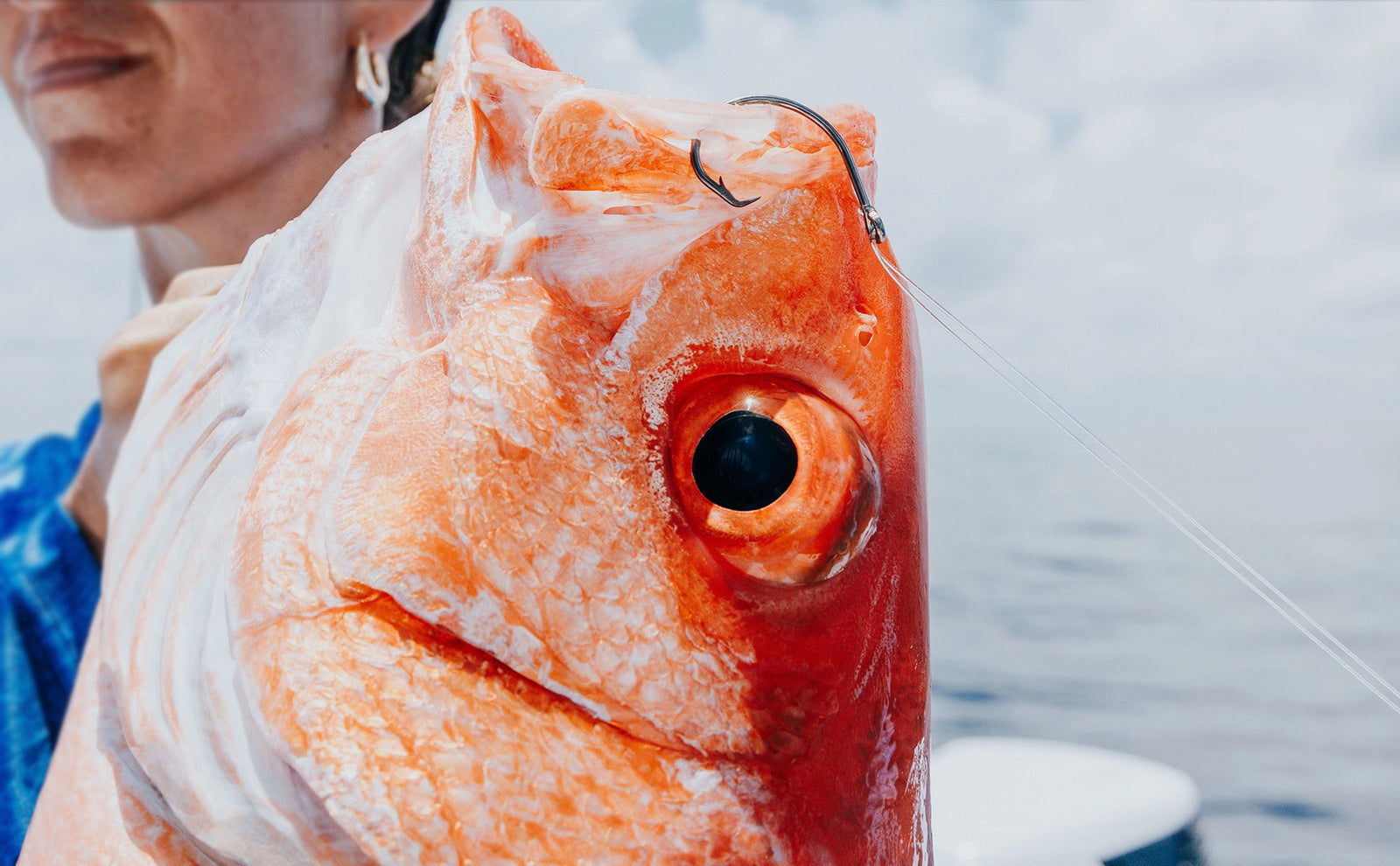 Circle Hooks: The Responsible Choice for Sustainable Fishing