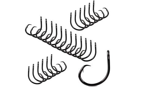 Circle Hooks